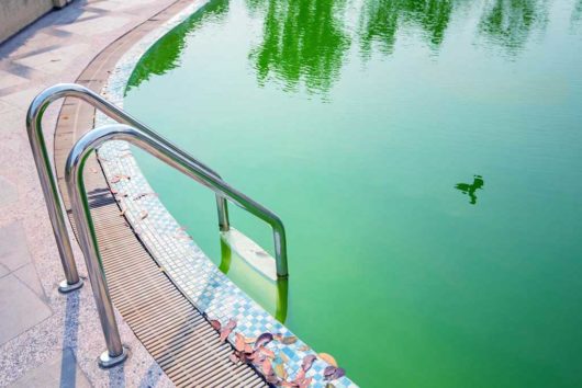 zelená voda v bazéne